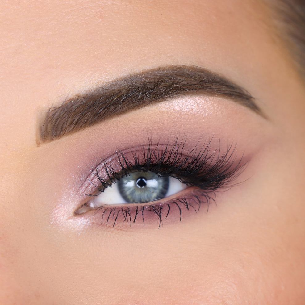 Flutter By shadow palette - Paleta de sombras